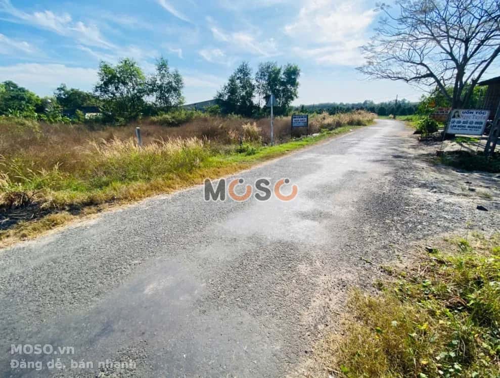 Bán đất Ấp Xóm Bố  Huyện Gò Dầu, Tây Ninh – giá 590 triệu - ảnh 6